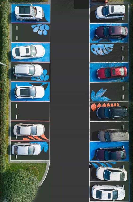 Whiteland Highlights