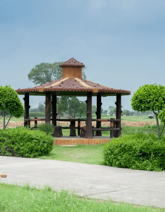 Whiteland Highlights